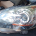 OPTICA ESQUERDA MAZDA 3  2008 A 2014  REFERENCIA BDG7-51040