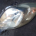 OPTICA ESQUERDA TOYOTA YARIS DE 2005 A 2009 REFERENCIA 81150-OD120