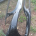 PARA-CHOQUES FRENTE MERCEDES W176 CLASSE A DE 2017. A1768801200
