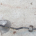 BARRA ESTABLIZADORA FRENTE OPEL CORSA D 1.3CDTI DE 2006 A 2015